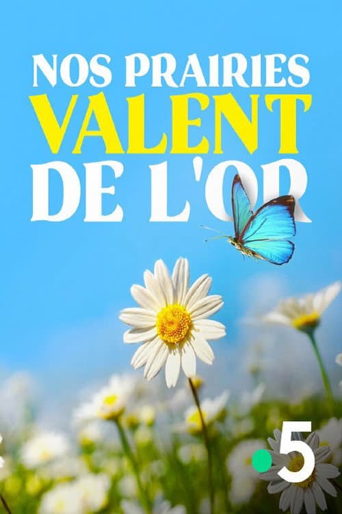 Nos prairies valent de l'or