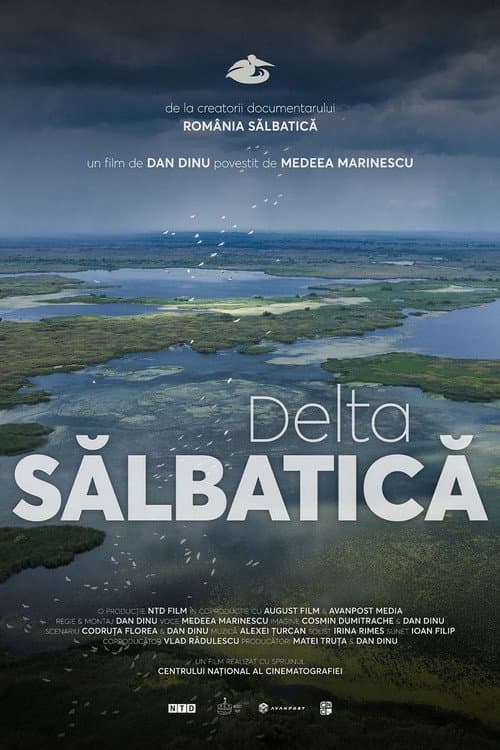 Wild Delta