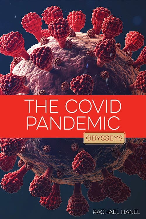 The Coronavirus Epidemic