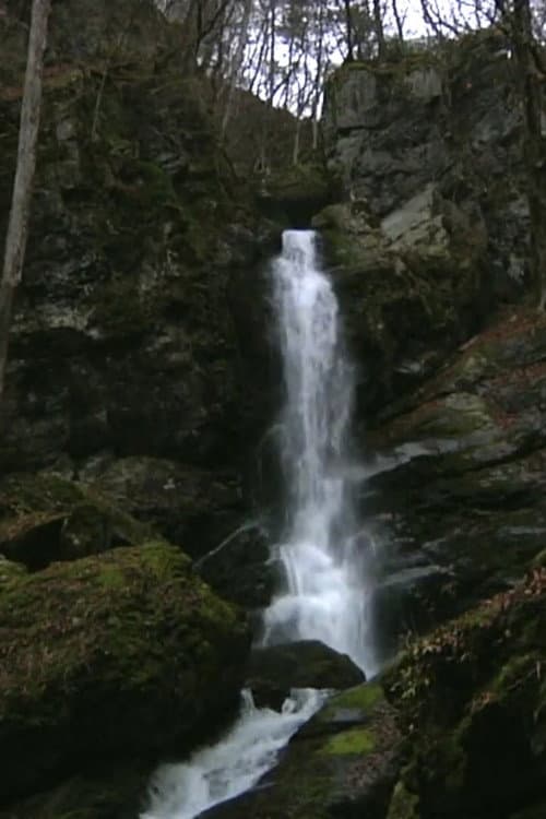 Falling Water, Scattered Scenery