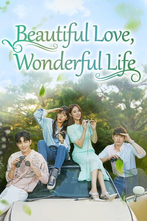 Beautiful Love, Wonderful Life